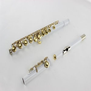 Wind instrument color flute 16 hole closed hole C flute factory wholesale white copper B tail E key white flute
