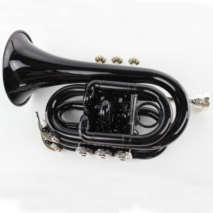 Beginners Western wind instruments, B-flat pocket black palm number musical instrument manufacturer wholesale pocket number musical instrument