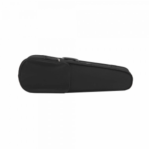 Violin popularization grand piano case psychic instrument company